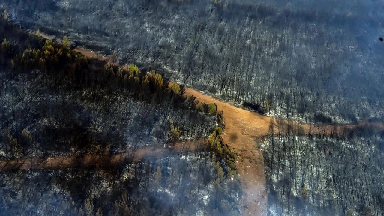 Helikopterden görüntülendi: Bir seferde 2 buçuk ton su