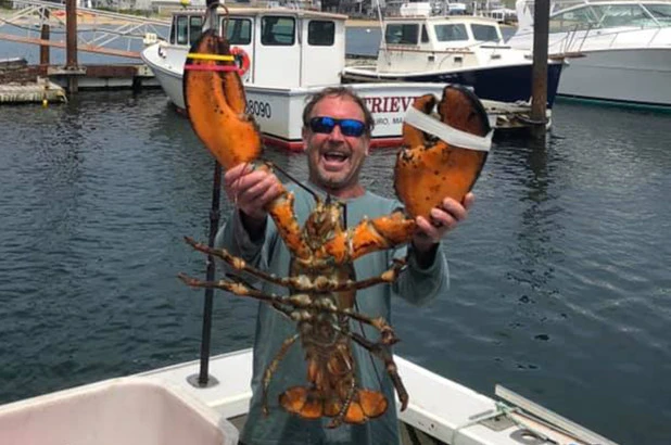 Balinanın yutup tükürdüğü adam uçak kazasından da kurtulmuş