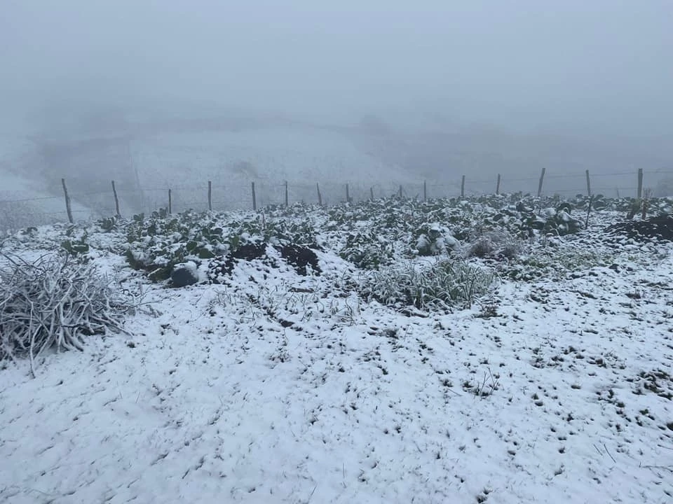 Mevsimin ilk karı yağdı! Yurdun dört yanı beyaza büründü