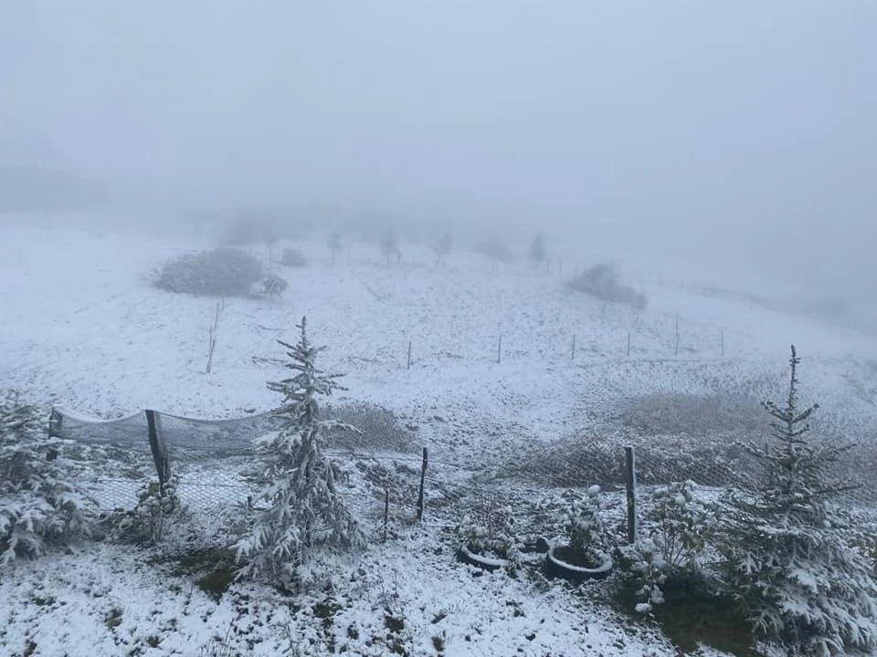 Mevsimin ilk karı yağdı! Yurdun dört yanı beyaza büründü