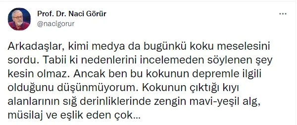 İstanbul'da tedirgin eden koku deprem belirtisi mi? Prof. Dr. Naci Görür açıkladı