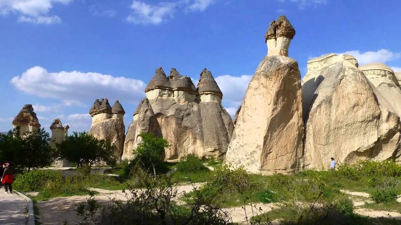 Paşabağları
