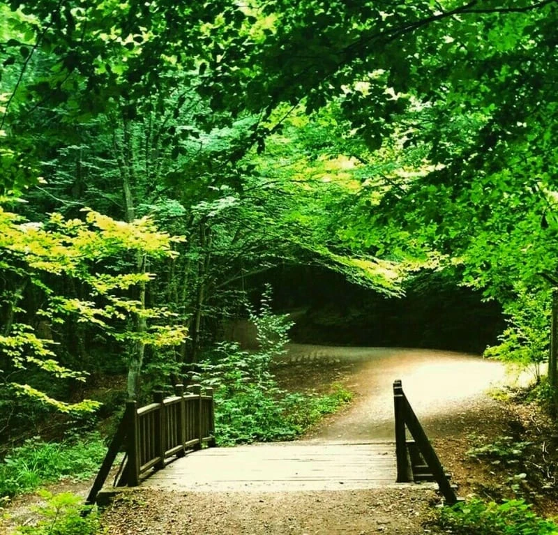 Polonezköy Tabiat Parkı