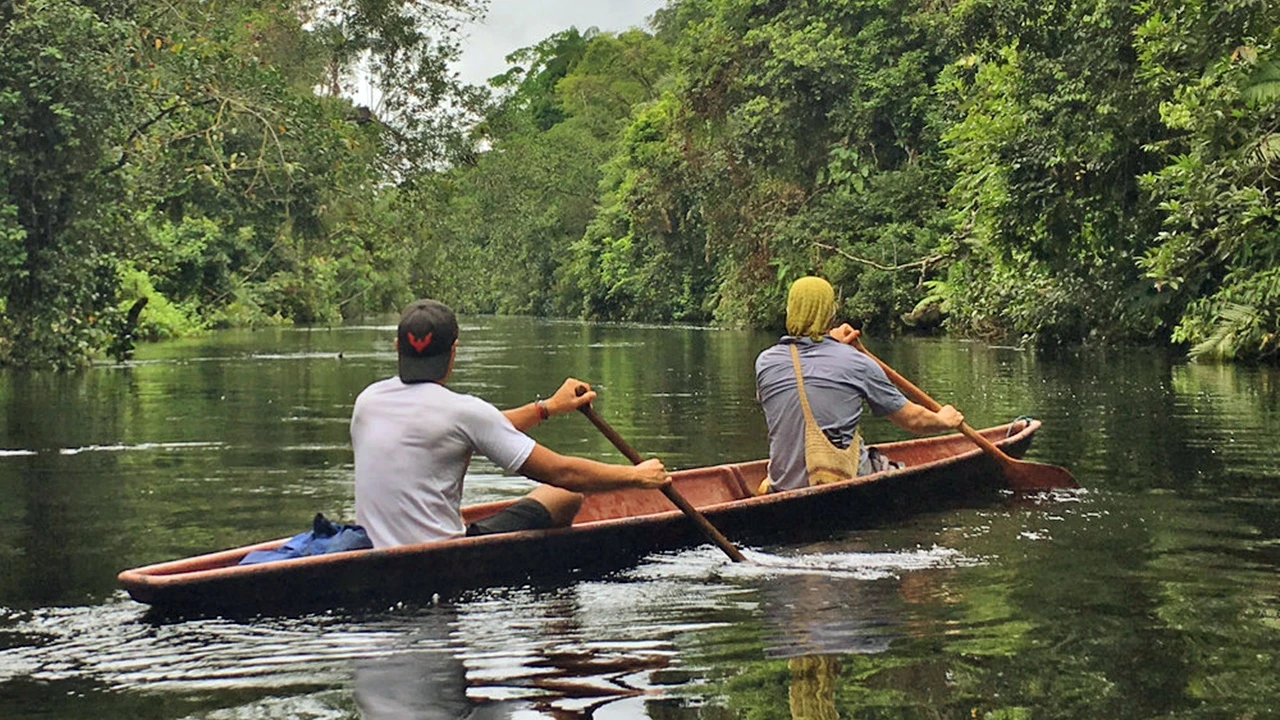 Gürültü kirliliği öldürüyor: 100'den fazla hayvan türü tehlikede