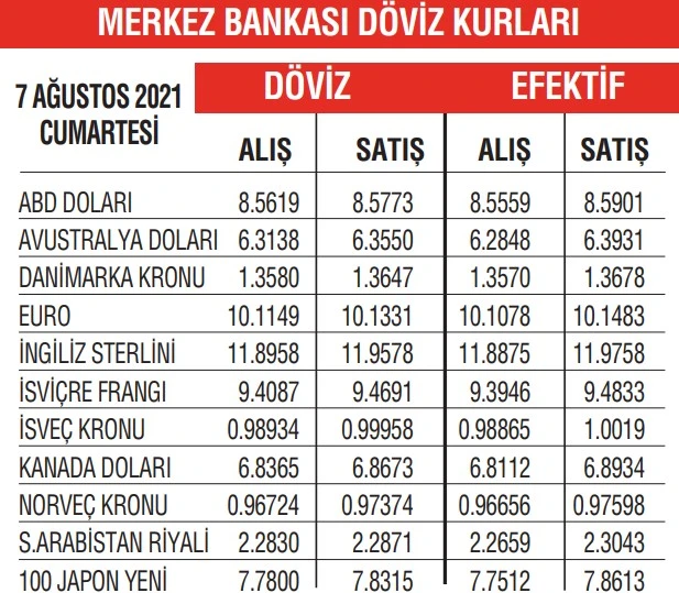 Dolar 8,60'ı geçti
