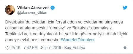 Diyarbakır annelerine sanatçılardan destek