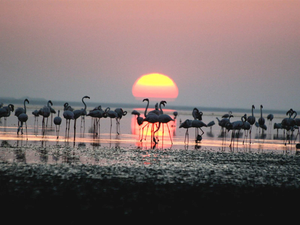 Türkiye'nin Muhteşem Doğal Gölleri