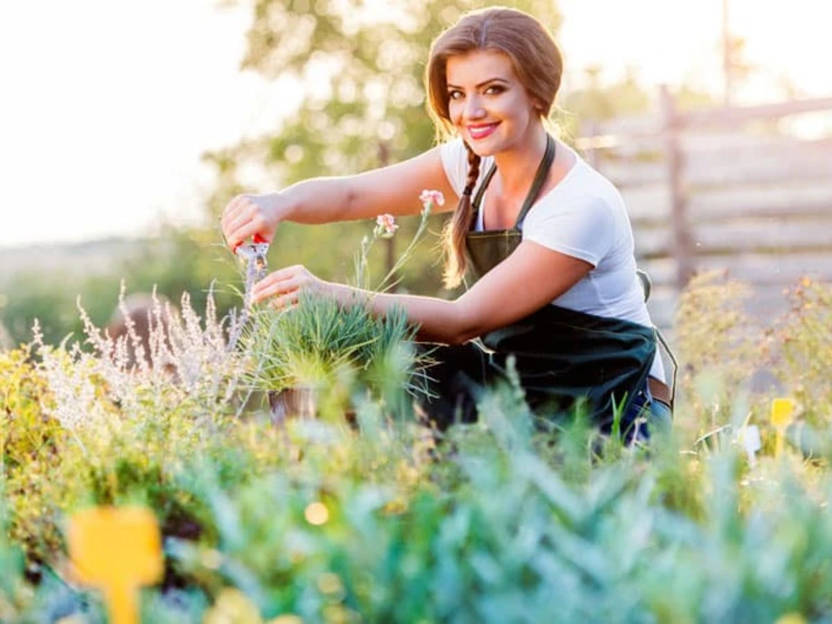 Solunum Sistemi Şifalı Bitkiler