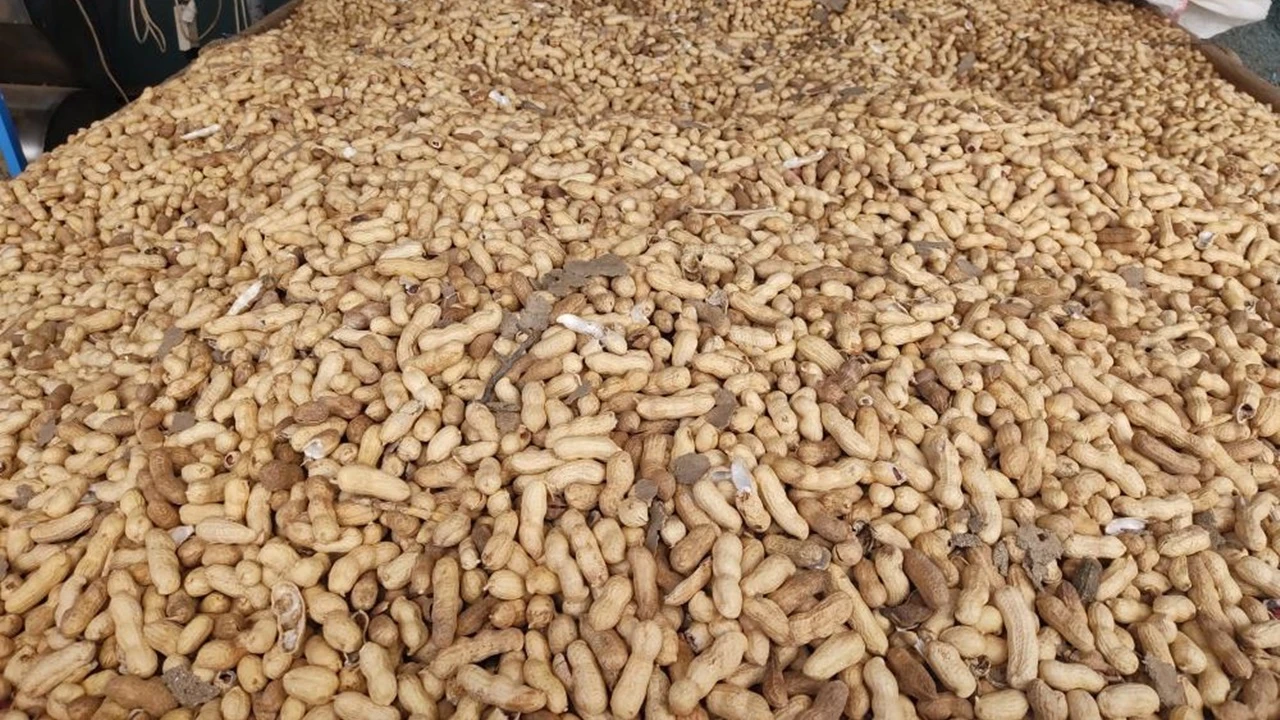 Ölüme sebep olan madde bulundu: Ambalajsız keklerdeki risk