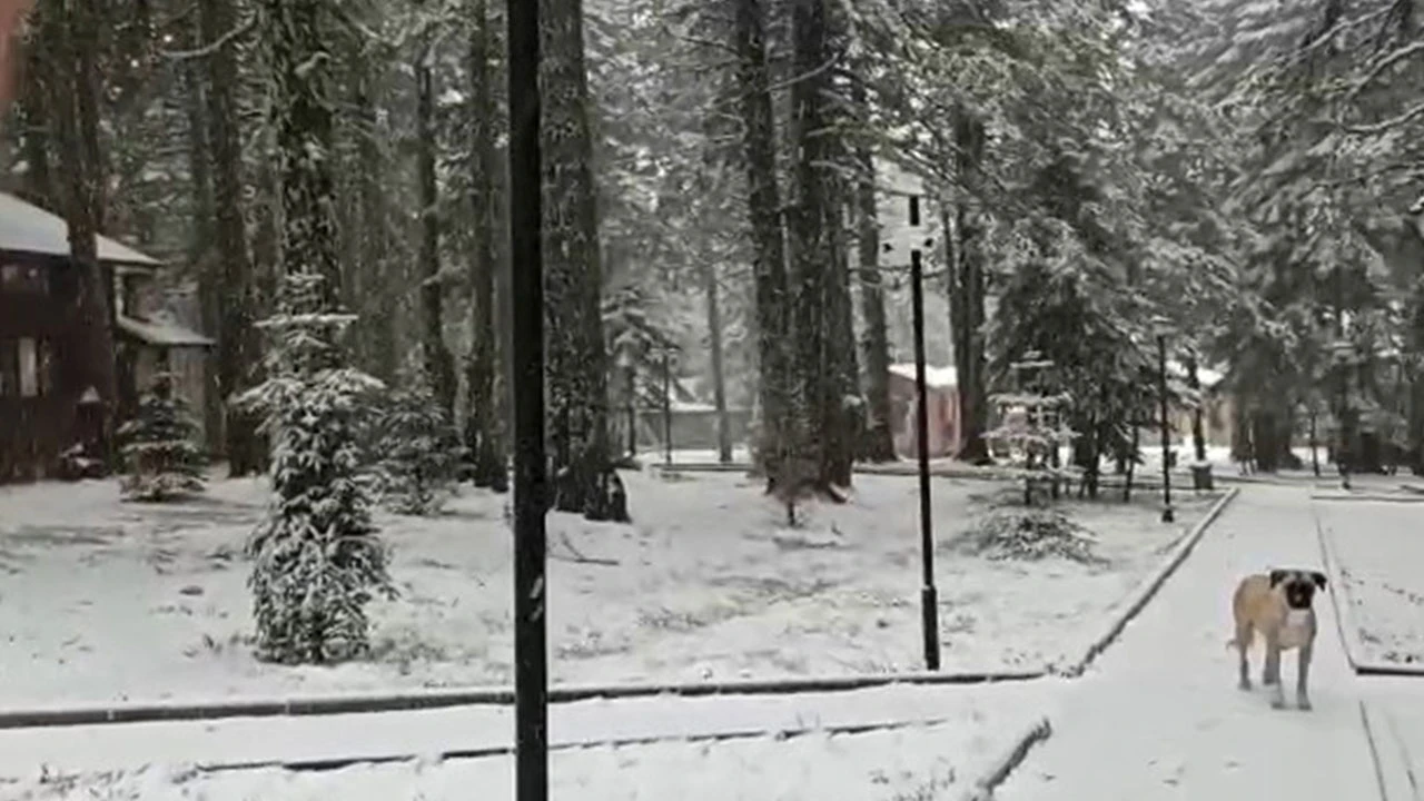 Mevsimin ilk karı yağdı: Sıcaklık -1'i buldu