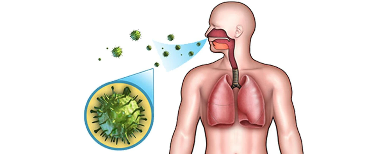 Üst Solunum Yolu Hastalıkları Kış Aylarında En Sık Görülen Hastalıklar Nelerdir?