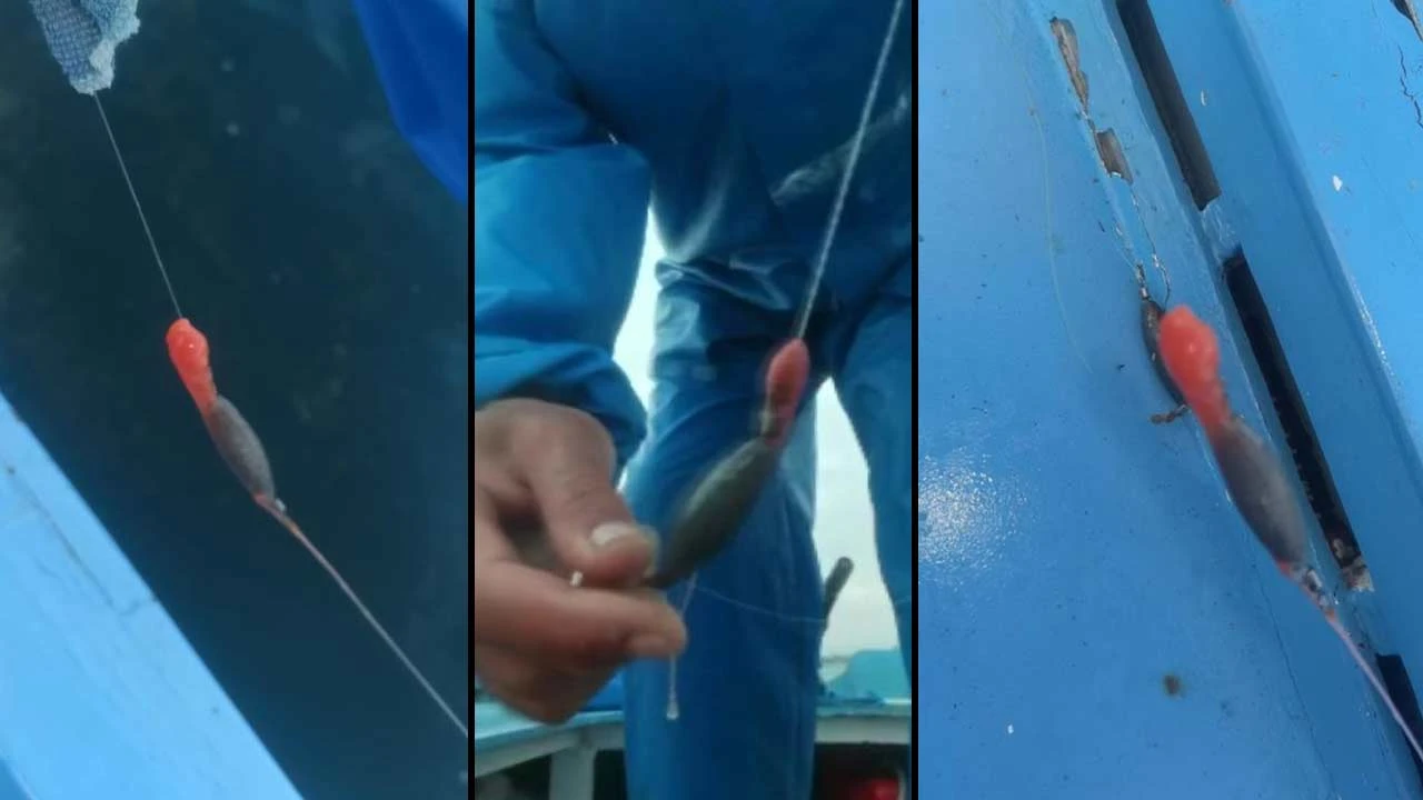 Marmara Denizi'nde kırmızı yapışkan paniği! Balıkçılar böylesini ilk kez gördü