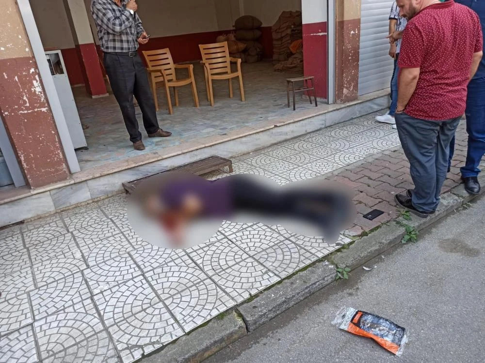 Ağabey kardeşini öldürdü