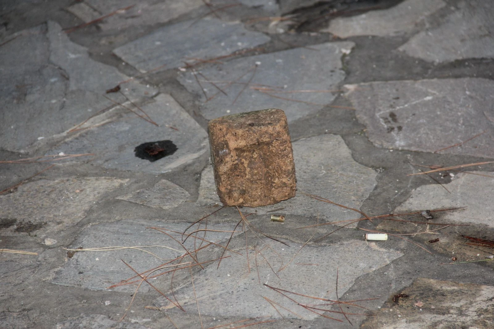 Çocuk parkında cinayet