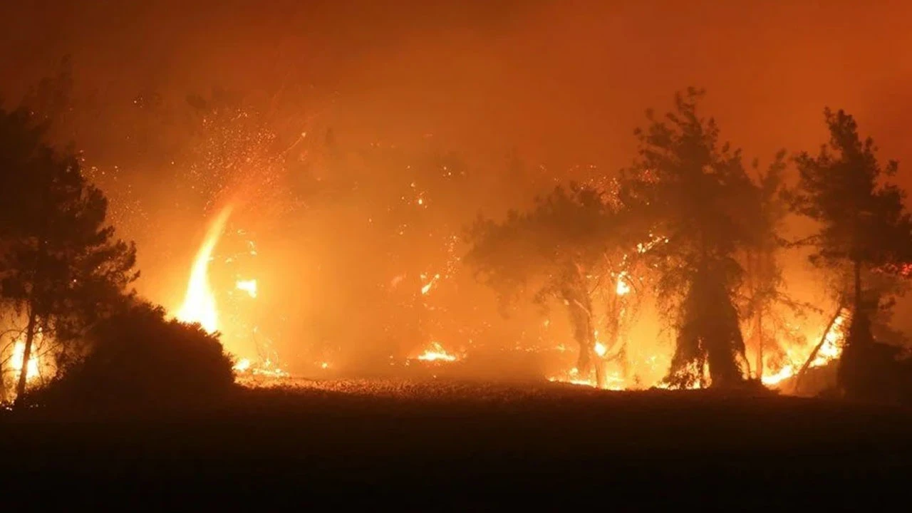 Adana, Mersin ve Osmaniye'de orman yangınları