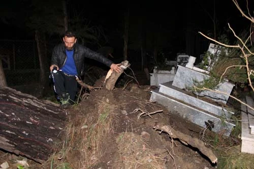 Kemer'de ürküten görüntü