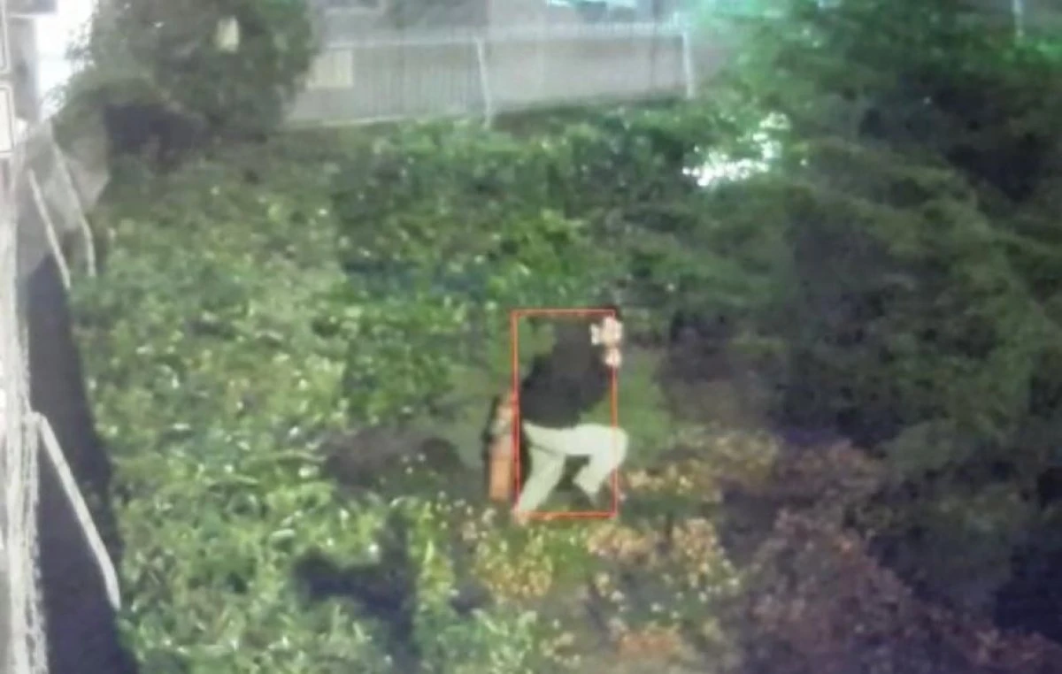 Saplantılı hayranı yüzünden Aleyna Tilki evini değiştirdi