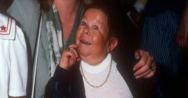 Michu Meszaros ALF dizisinde