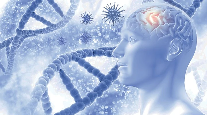 Alzheimer Hastalığı Nedir? Alzheimer Hastalığının İlk Belirtileri Nelerdir?