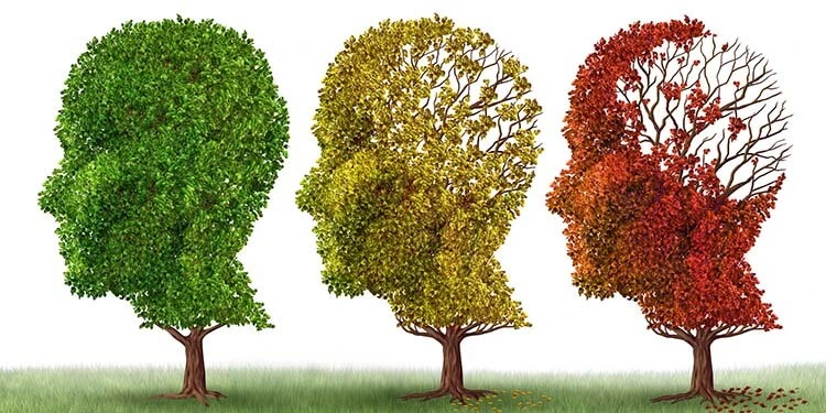 Alzheimer Hastalığı Nedir? Alzheimer Hastalığının İlk Belirtileri Nelerdir?