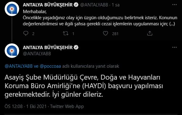 Antalya’da pitbull vahşeti! Köpeğe acı veda yürek burktu