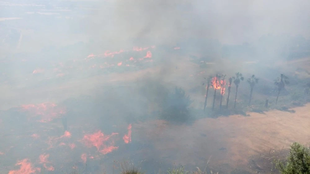 Antalya'da sazlık alanda yangın