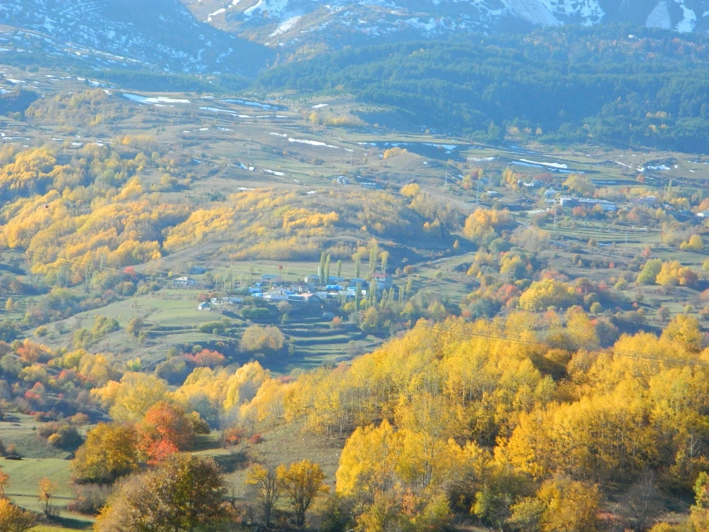 Adeta bir renk cümbüşü 'Posof'