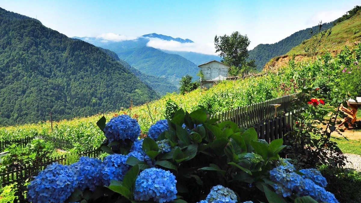 Karadeniz Rotası