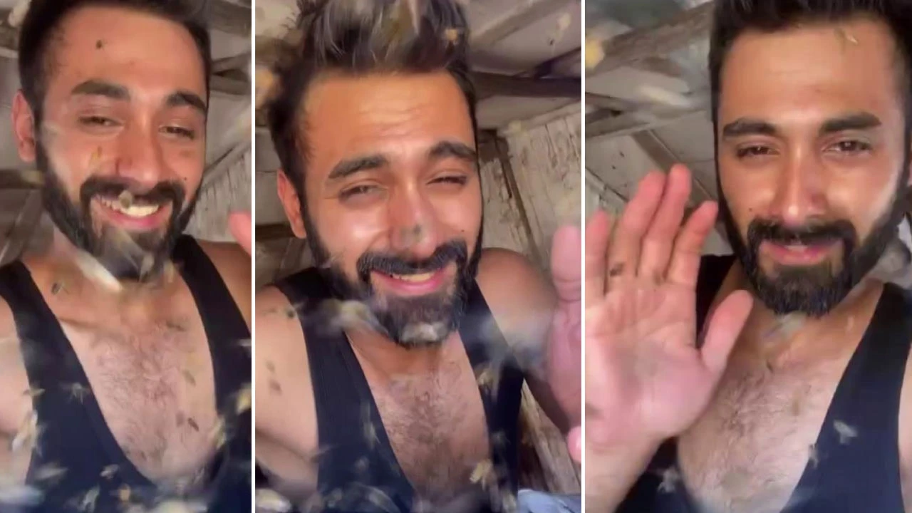 Koruyucu elbise olmadan arıların içine daldı