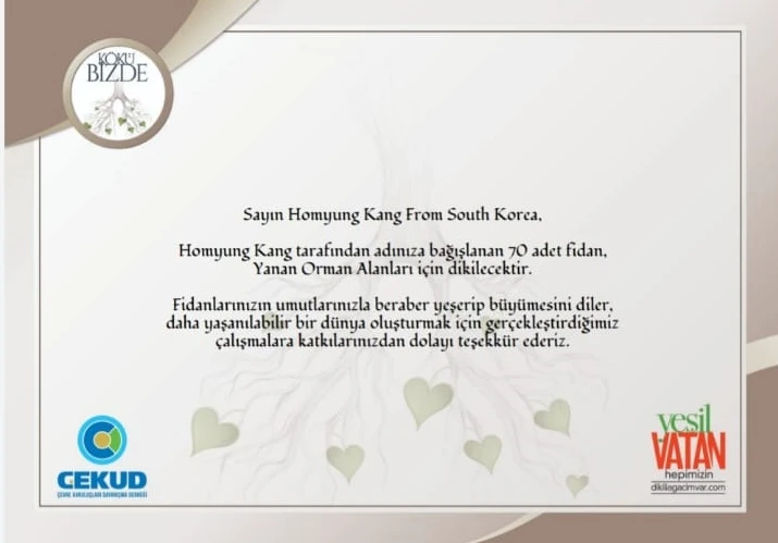 Güney Kore'den Türkiye için fidan bağış kampanyası