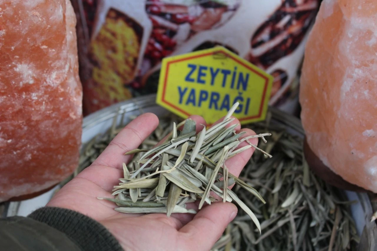 Zeytin Yaprağı Çayı Nasıl Yapılır?