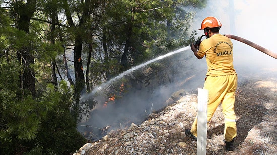 Muğla'daki orman yangınında 30 ev zarar gördü