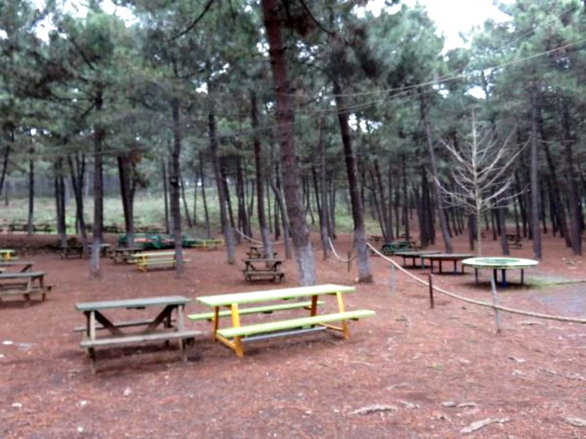 Aydos Ormanı