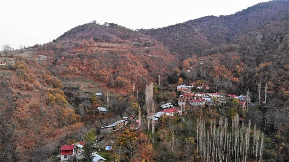 Ayı saldırısından güreşerek kurtuldu, ayıdan haber yok
