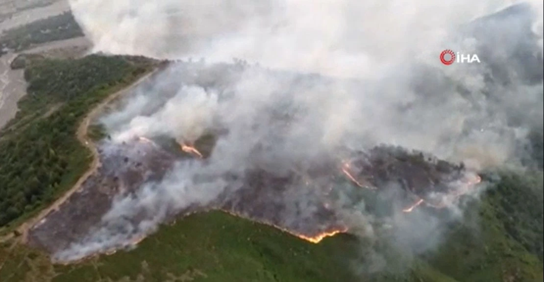 Azerbaycan'da ormanlık alanda yangın çıktı