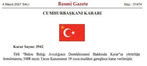 Balon balığı avlayana 5 lira ödeme