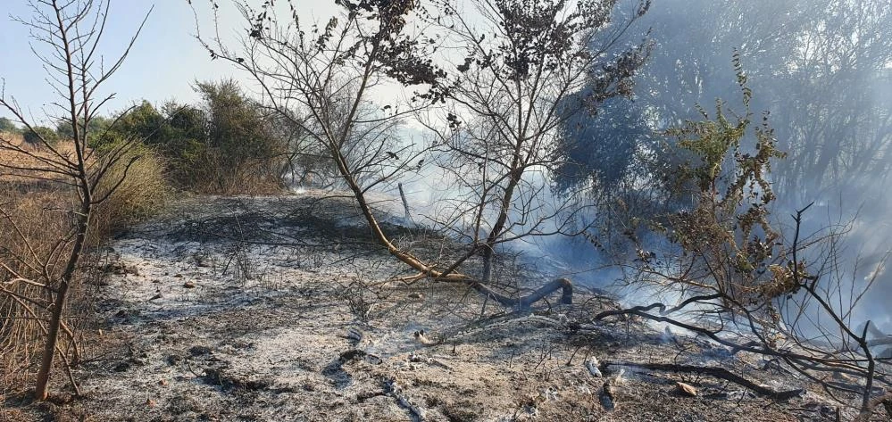 Atmaca yangın çıkardı! 150 dönüm arazi kül oldu