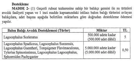 Balon balığı avlayana 5 lira ödeme