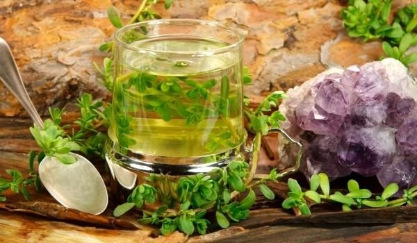 Brahmi Bitkisi (Bacoba) Nedir?