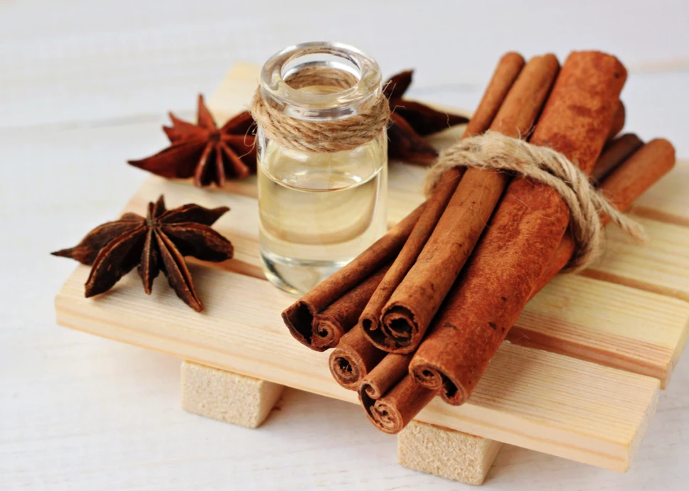 Bal Tarçın Maskesi ile Cilt Bakımı