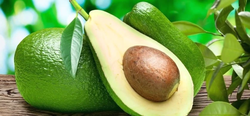 Avokado nasıl yenir? Avokado nasıl kesilir? Avokado faydaları ve Avokado nasıl tüketilir?