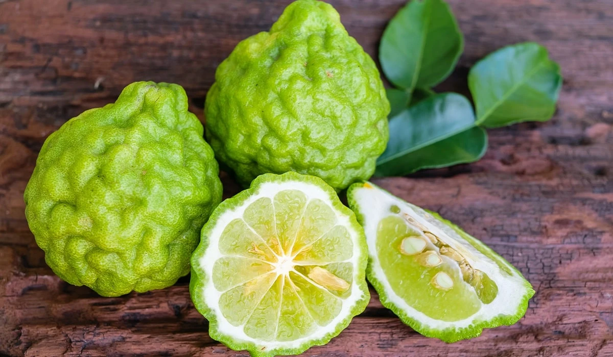 Bergamot Nasıl Bir Şey? Bergamot Faydaları Nelerdir? Bergamot Çayı Faydaları
