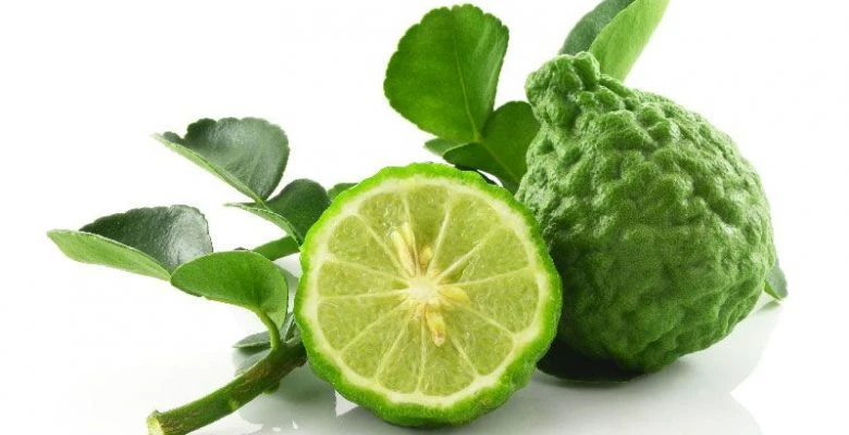 Bergamot Nasıl Bir Şey? Bergamot Faydaları Nelerdir? Bergamot Çayı Faydaları