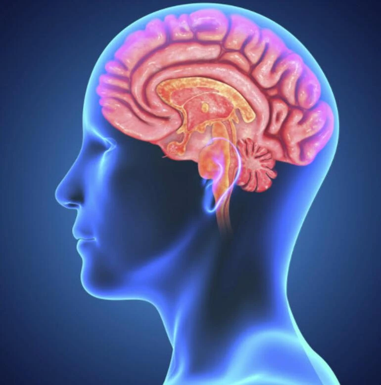 Sil baştan filmi gerçek oluyor: Anılar silinebilecek