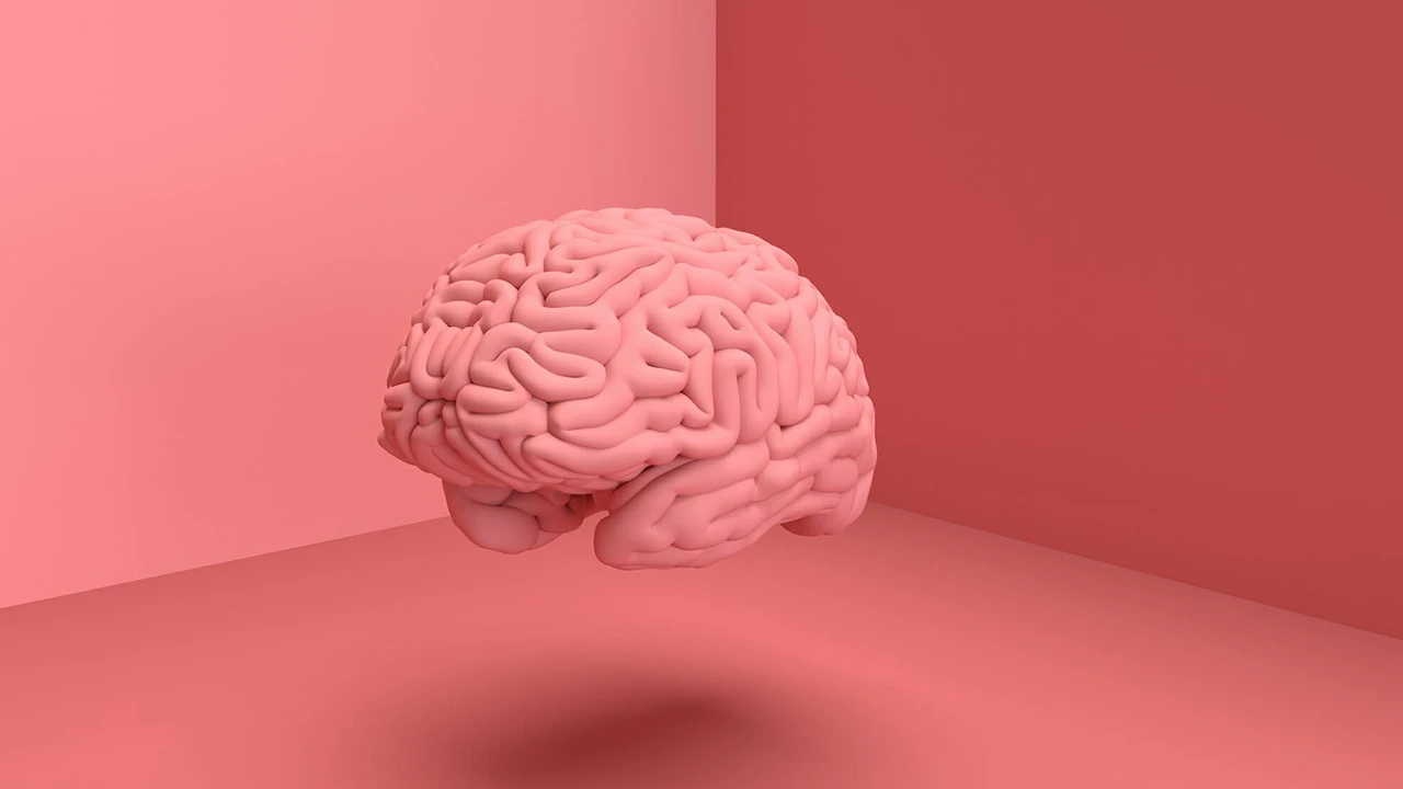 Kadın ve erkek beyninin farklı çalıştığı kanıtlandı