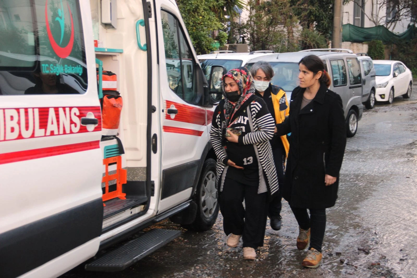 Bodrum’u sel vurdu! Sokak hayvanları boğuldu