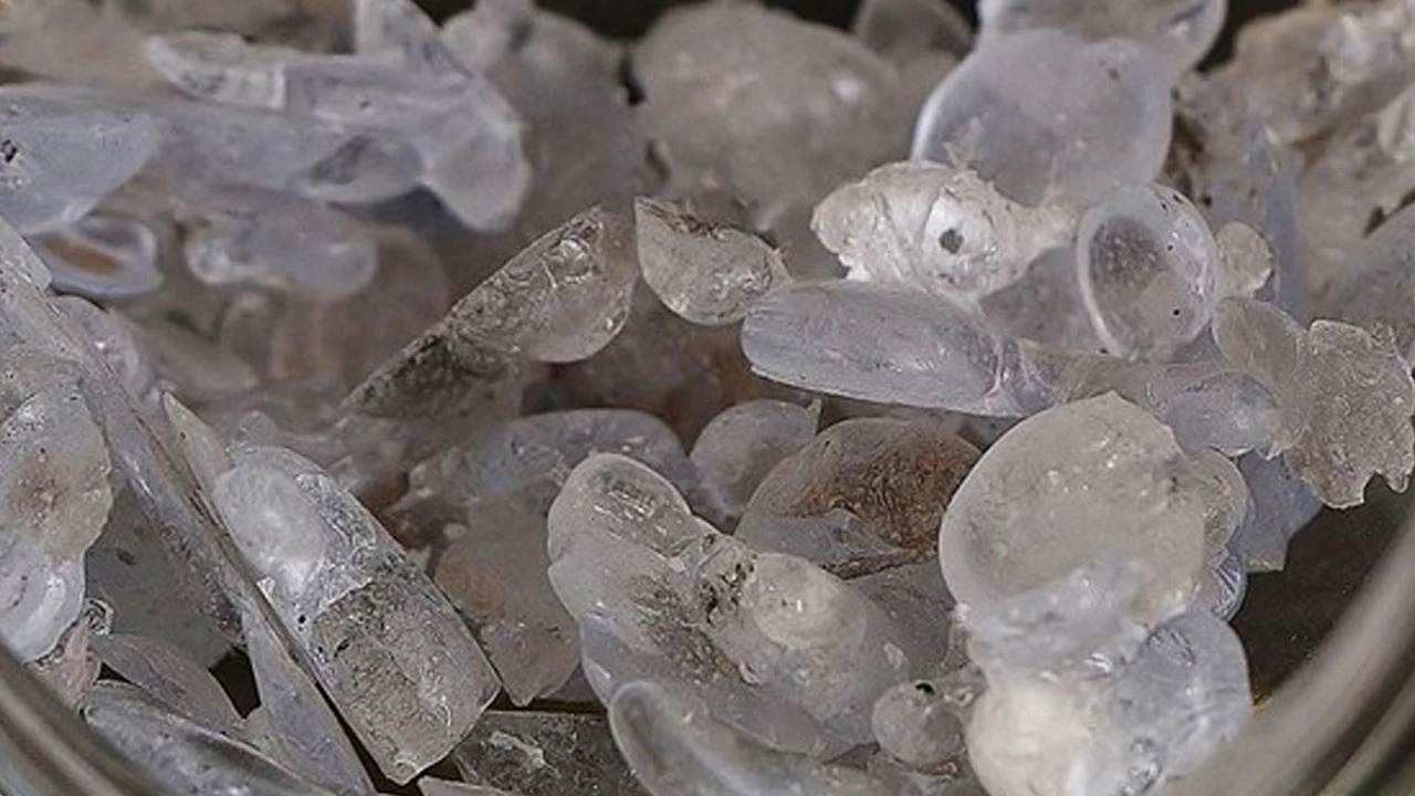 Bakan Dönmez: Bor üretiminde ihracat ve satışında rekor kırdık