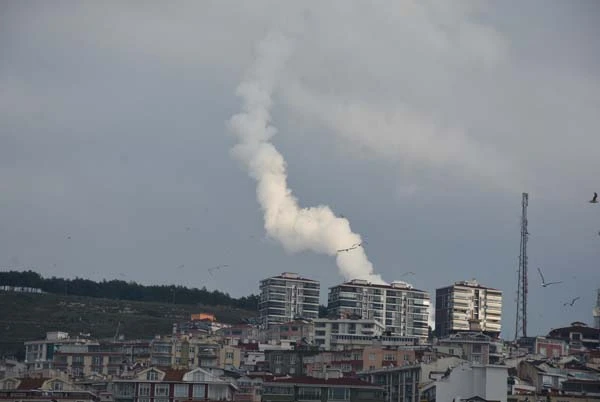 Bu kare Sinop'tan... Kenti heyecanlandıran olay!