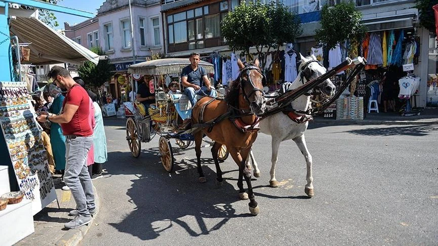 Atlardaki Ruam hastalığı bulaşıcı mıdır? Büyükadada ortaya çıkan Ruam hastalığı nedir?