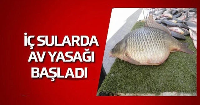 İç sularda av yasağı başladı